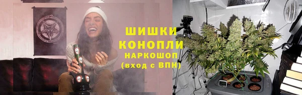 трава Елизово
