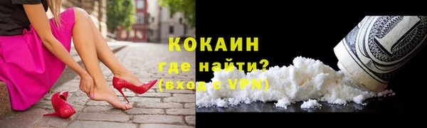 тгк Ельня