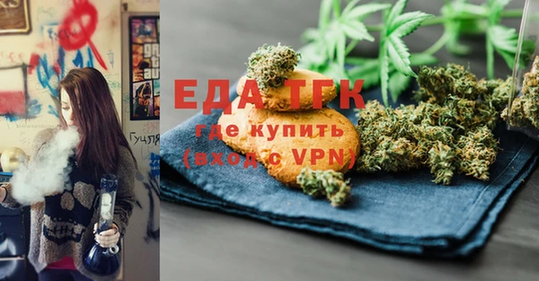 тгк Ельня