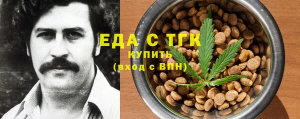 тгк Ельня