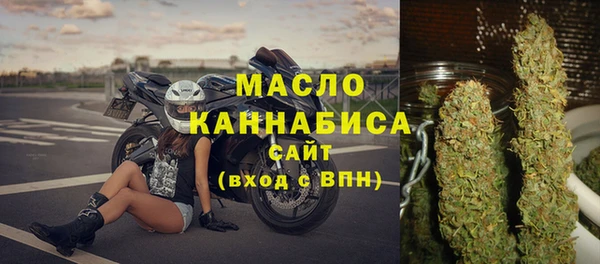 тгк Ельня