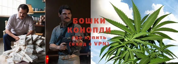 тгк Ельня