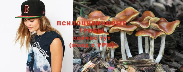 тгк Ельня