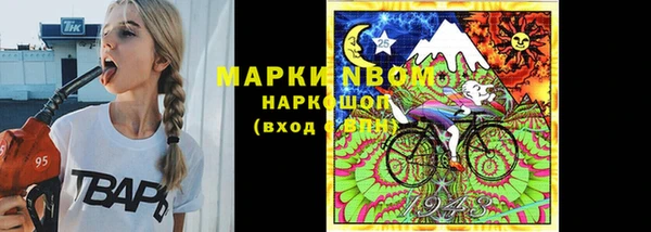 тгк Ельня