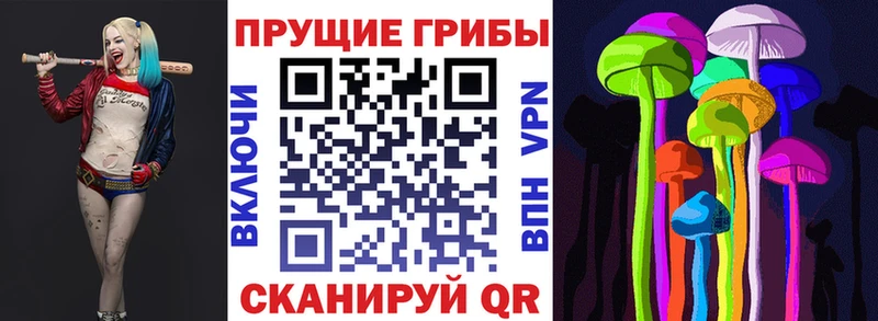 Галлюциногенные грибы GOLDEN TEACHER Никольск