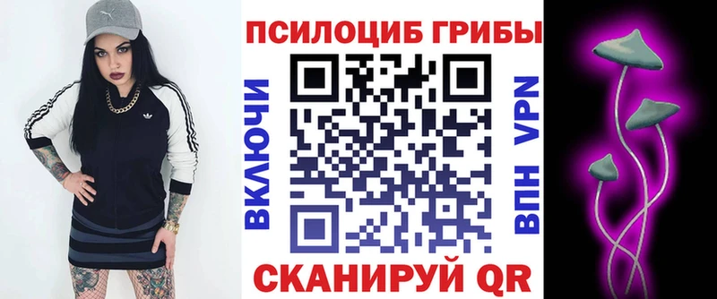 Галлюциногенные грибы Psilocybe  Купить закладки  Никольск 